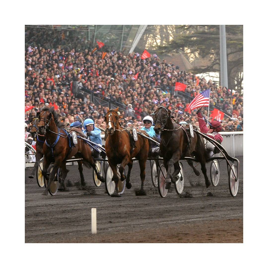 Fantasy Horse Racing Scoring