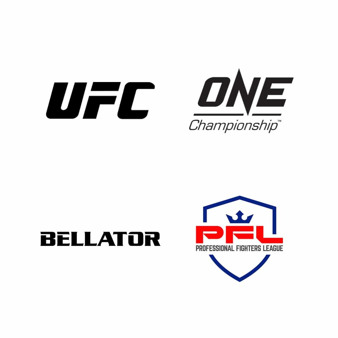 Fantasy MMA organizations
